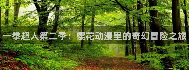 里番动漫下载网：一拳超人第二季：樱花动漫里的奇幻冒险之旅