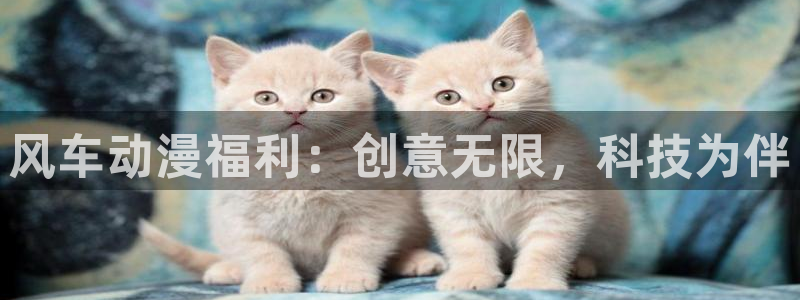 里番动漫网上看：风车动漫福利：创意无限，科技为伴