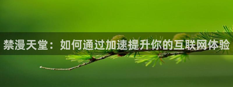 managereader漫画官网入口：禁漫天堂：如何通过加速提升你的互联网体验