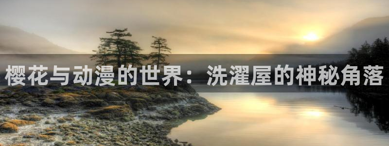 里番动漫官网入口老版本：樱花与动漫的世界：洗濯屋的神秘角落