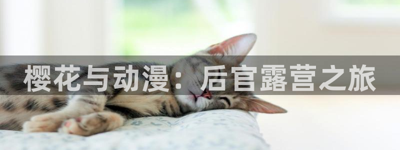 里番动漫正版网：樱花与动漫：后官露营之旅