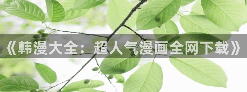 在线动画动漫下载里番动漫