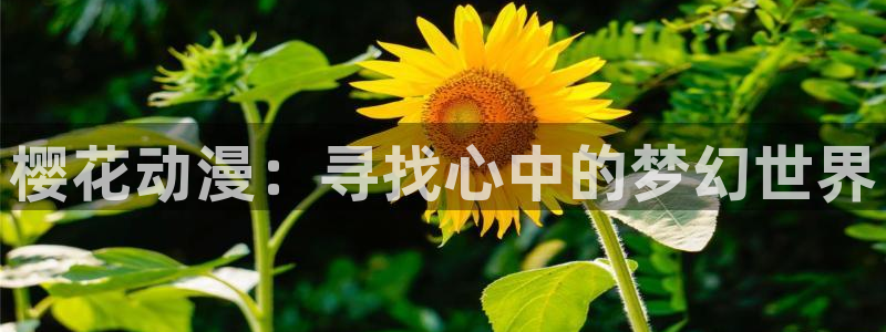 里番动漫官网网址
