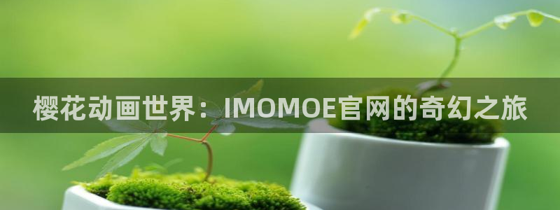 里番动漫网下载