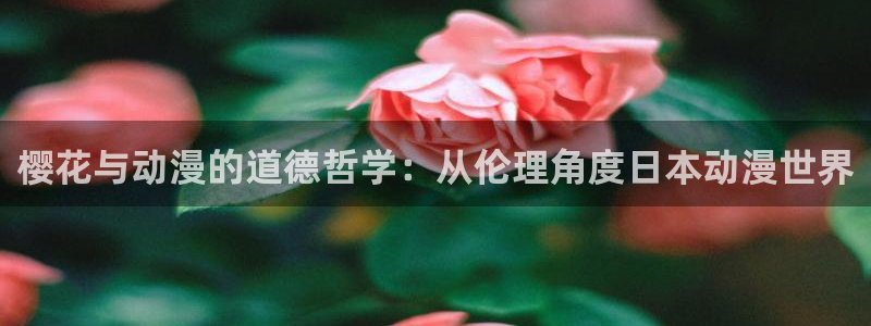 里番动漫网下载