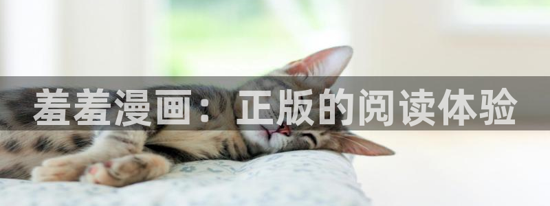 里番动漫樱花