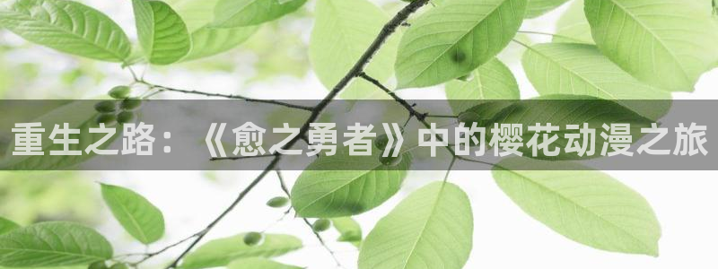 里番动漫正版网