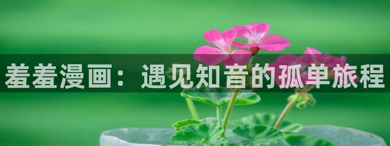 里番动漫网下载