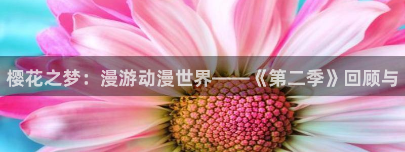 colomanage漫画官网：樱花之梦：漫游动漫世界——《第二季》回顾与