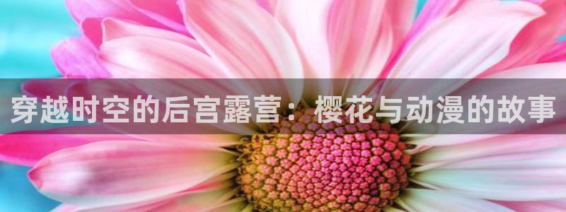 lovestage漫画免费阅读：穿越时空的后宫露营：樱花与动漫的故事
