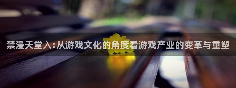 里番动漫网下载