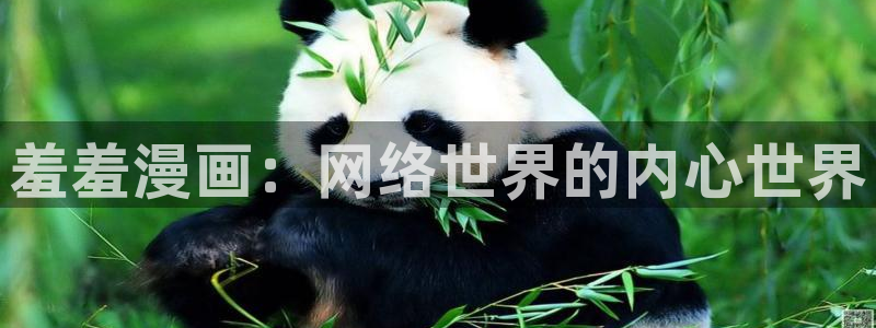 里番动漫下载网