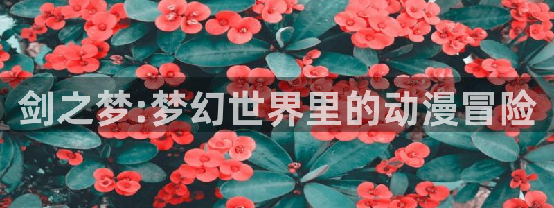 age专注动漫的门户网站