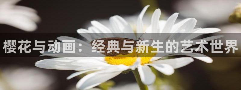 韩国漫画平台kakaopage