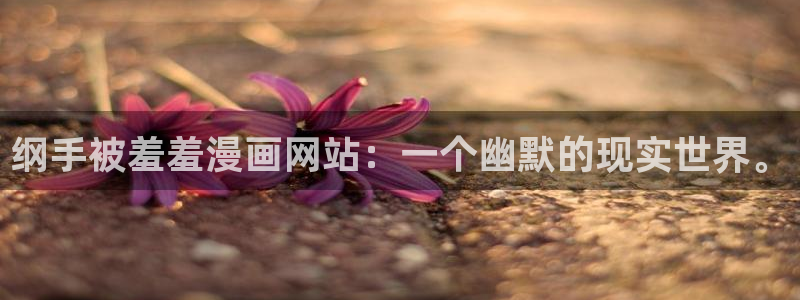 里番动漫专注动漫的门户网站