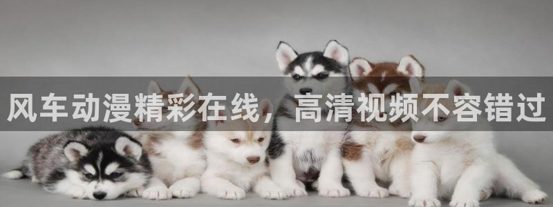 managereader漫画官网入口：风车动漫精彩在线，高清视频不容错过