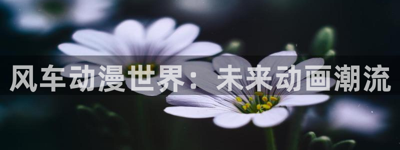 age专注动漫的门户网站