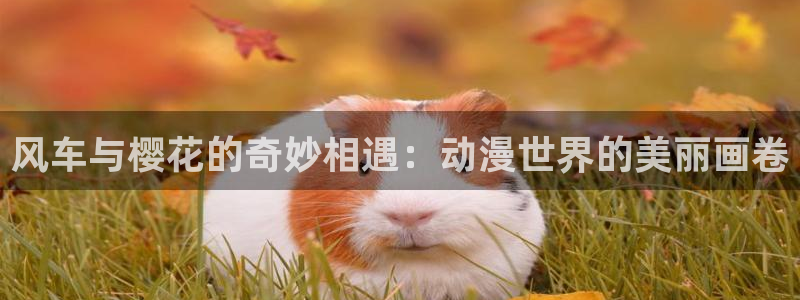 里番动漫官网入口老版本
