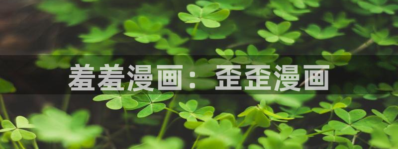 里番动漫正版网