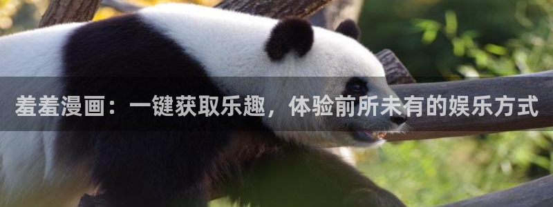 里番动漫官网在线入口