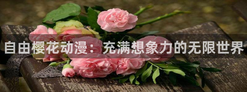里番动漫网下载