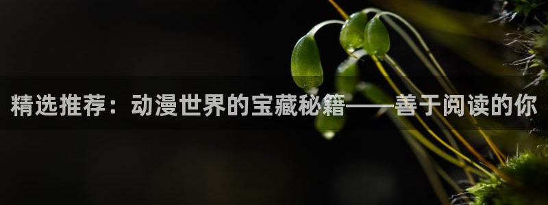 里番动漫官网在线入口