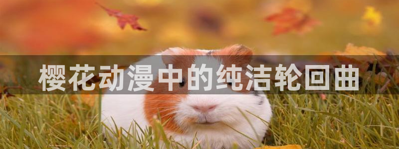 在线动画动漫下载里番动漫